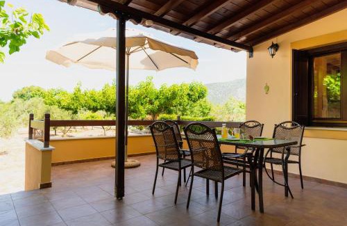 Artemida Maison | Karavos Grove