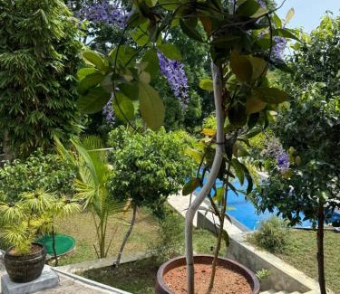 Kosgoda Hôtel | Karisa Nature Villa