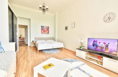 Karlovy Vary Appartement | Karlsbad APT