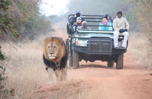 Maruleng Cabine | Karongwe - Becks Safari Lodge