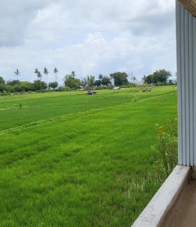 Lovina Station Balnéaire | Kartika Villas