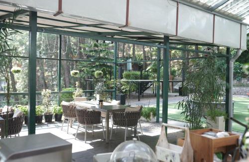 Kasauli Station Balnéaire | Kasauli Hills Resort