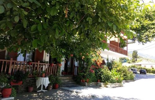 Zagora-Mouresi Hôtel | Katerina