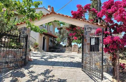 Amarinthos Appartement | Kato Alonia Home