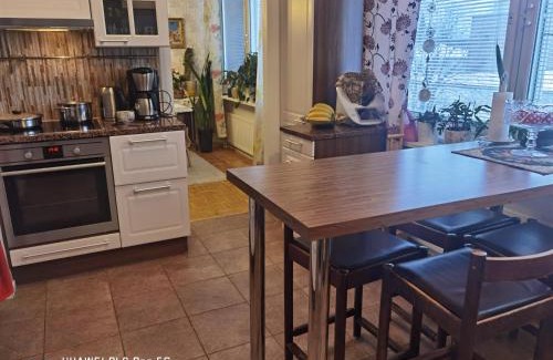 Pieksamaki Appartement | Kauppatori