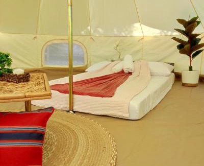 Lobo Autre | KAWAI Beach Camp
