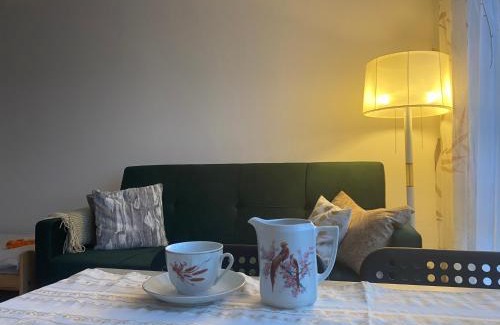 Elblag Appartement | kawalerka PIECHOTY 5 os CENTRUM