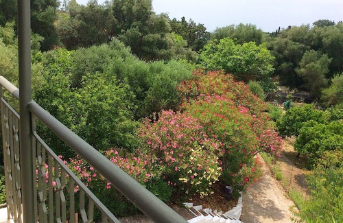 Leivathos Appartement | Studios dans un beau jardin de fruits, au dernier étage: sentir le goût frais de Céphalonie!