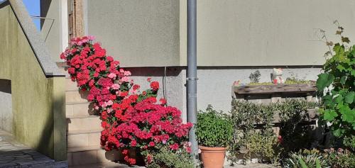 Loznati Appartement | Kelk Loznati
