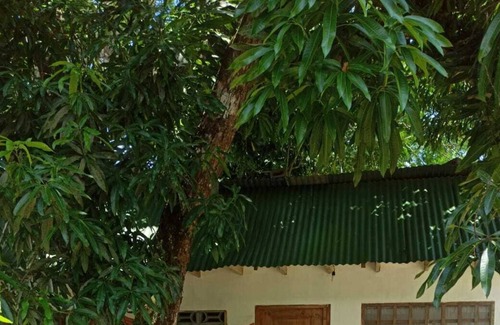 Parrita Cabine | Kensho Villages