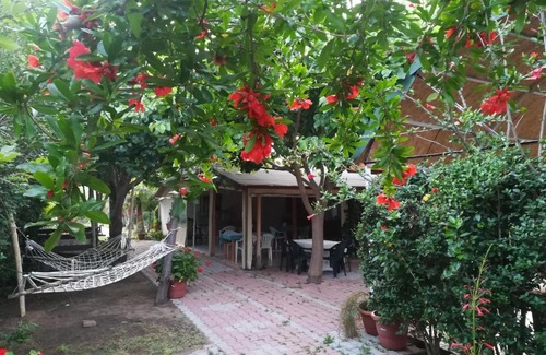 Cirali Maison | Kervan Pansiyon