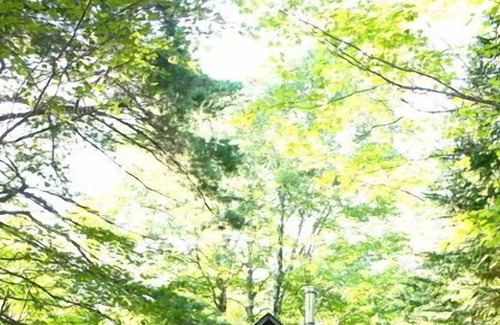 Allouez Cabine | Keweenaw Rustic Cabin sur la rivière Gratiot