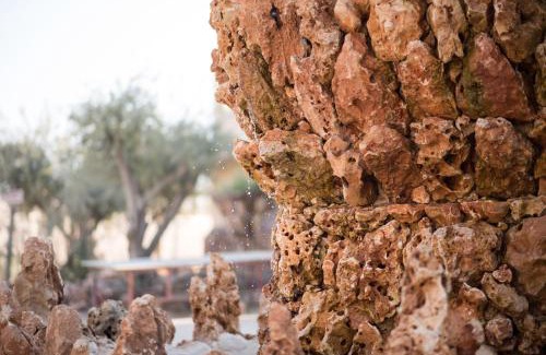 Mahane Zofar Autre | Kfar Hanokdim - Glamping & Camping