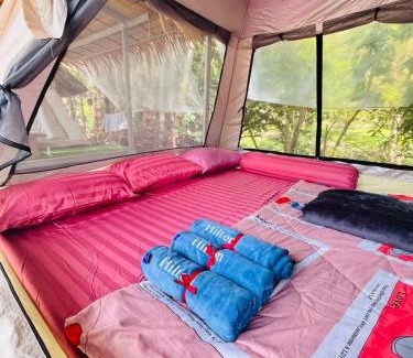 Khlong Sok Lit Et Petit-Déjeuner | Khaosok Mysterious Restaurant and Camp ร้านลึกลับริมคลอง