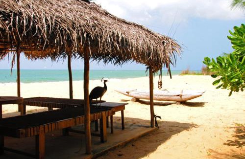 Alankuda Villa | Khomba Beach House