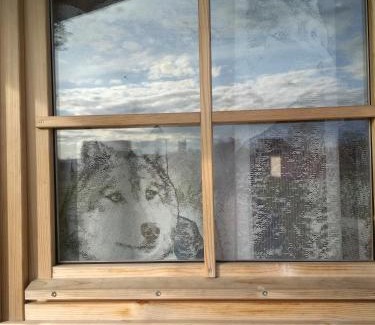 Jarva County Autre | Kilplaste küla kämpingud