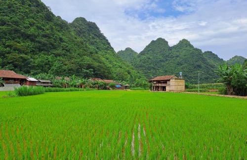 Quang Uyen Appartement | Kim