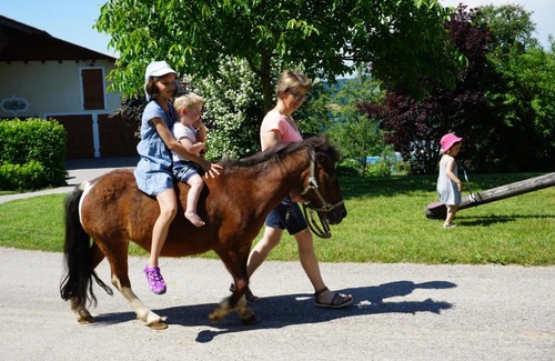 Steinbach an der Steyr Maison | Kinderbauernhof Salmanner