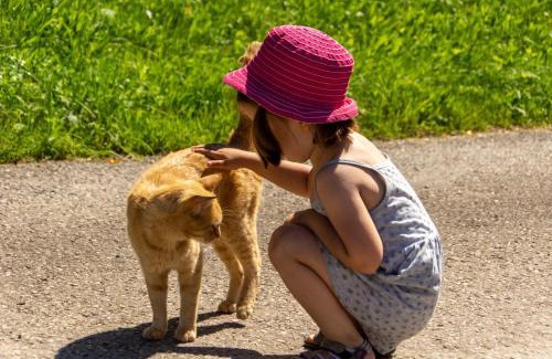 Steinbach an der Steyr Maison | Kinderbauernhof Salmanner