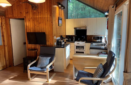 Taynuilt Cabine | KINGLAS est une cabine de charme dans un endroit agréable et paisible dans la forêt profonde