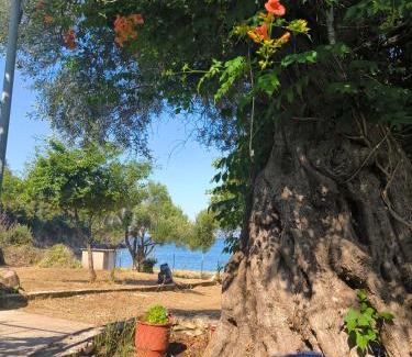 Koinira Appartement | Kinira Seaside House