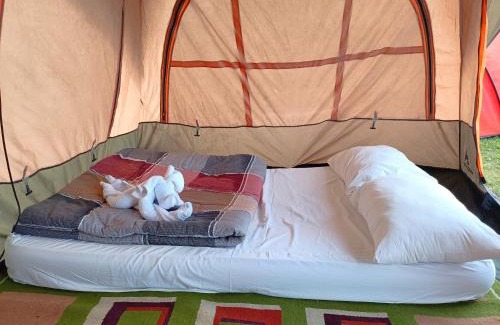 Kedisan Autre | Kintamani Adventures 'Hide in Nature lodge'