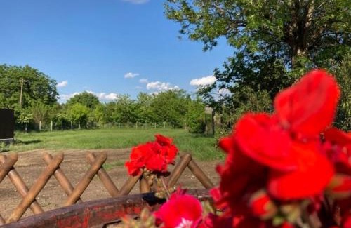 Deg Appartement | Kisdió Vendégház