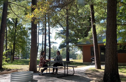 Triumph Cabine | Kishauwau Cabins Dog Friendly [Commanche Cabin] near Starved Rock State Park