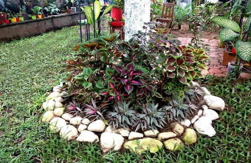Tarapoto Maison | Kitara House pour les voyageurs comme vous, pour se sentir chez eux