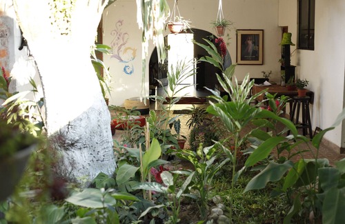 Tarapoto Maison | Kitara House pour les voyageurs comme vous, pour se sentir chez eux