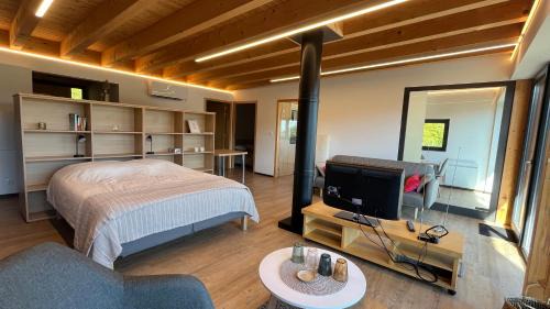 Guebwiller Appartement | KITTERLELODGE Suite 1 à 4 personnes avec vue