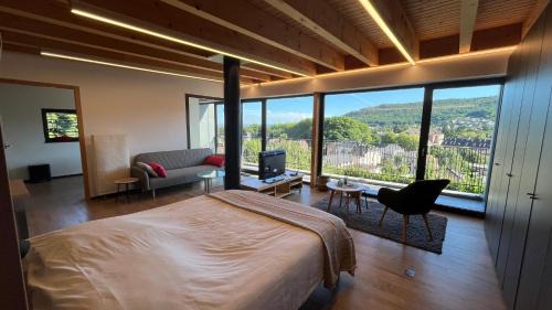 Guebwiller Appartement | KITTERLELODGE Suite 1 à 4 personnes avec vue