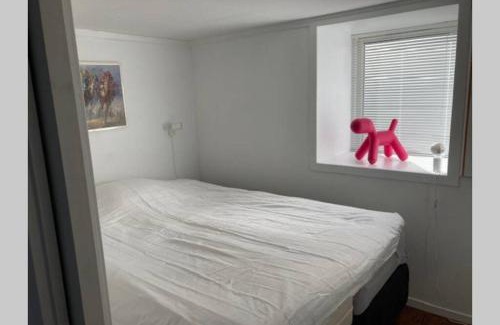 Bergenhus Appartement | Kjellerleilighet - nært Haukeland sykehus.