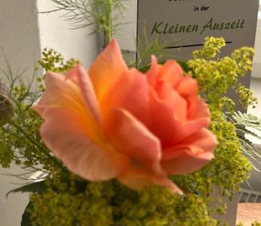 Mengershausen Appartement | Kleine Auszeit