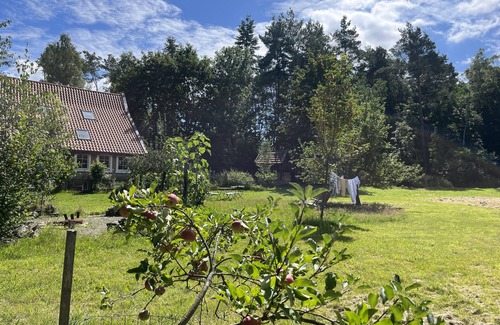 Detmold Appartement | Kleine Ferienwohnung mit Kaminofen Mitten im Grünen