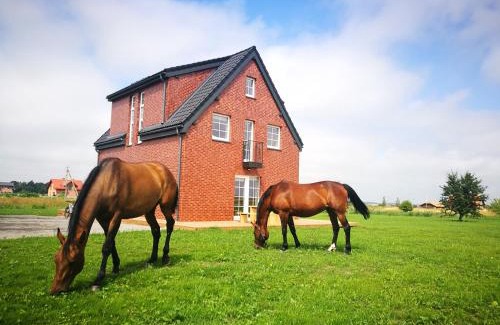 Karkle Appartement | Klevas