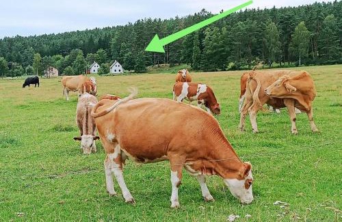 Cimer Maison | Klidná lokalita Na kraji lesa, celý dům s úschovnu kol