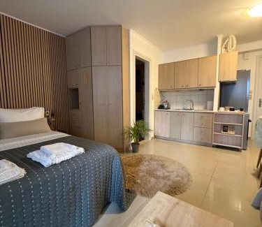 Nea Alikarnassos Appartement | KND Living Concept - Standard Room with Patio