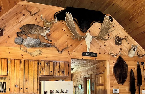 Denmark Cabine | Knotty pine log cabin - boating, fishing, ATV trails and hiking!