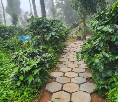 Kodaikanal Maison | Kodai Glamping Woods