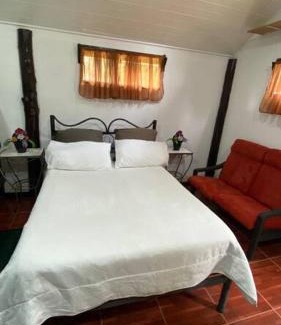 Canton Dota Maison | Koi's House - Quebradillas de Dota