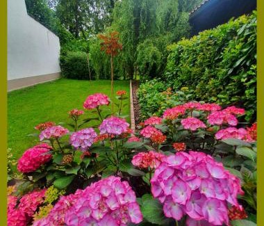 Kelsterbach Appartement | Kolev Apartments