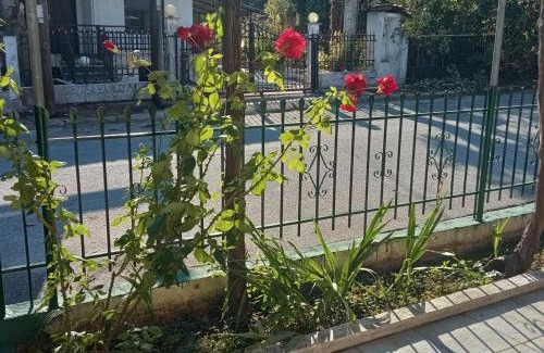 Kilkis Appartement | Kolhida home