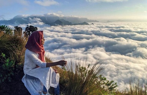 Suryanelli Autre | Kolukkumalai Valley Camp