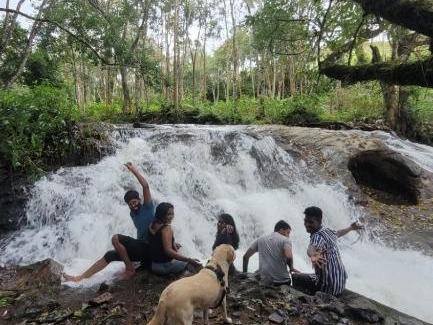 Suryanelli Autre | Kolukkumalai Valley Camp
