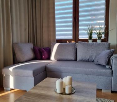 Naleczow Appartement | Komfort Apartament