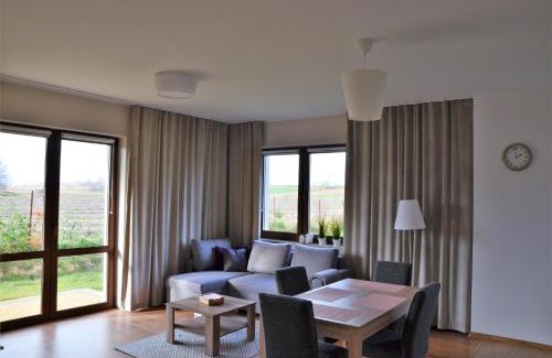 Naleczow Appartement | Komfort Apartament