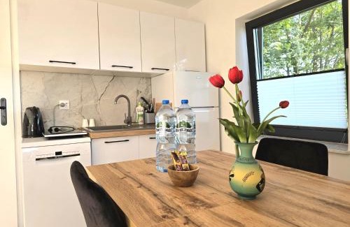 Szczytno Maison | Kompleks domków na Mazurach dla grupy 15 osobowej