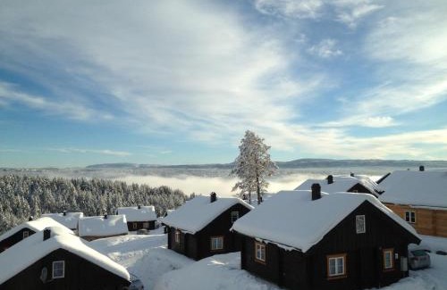 Kongsberg Appartement | Kongsberg Booking