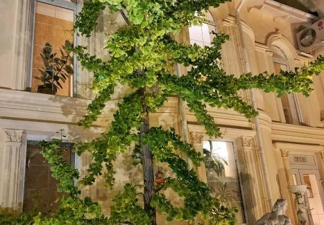 Mykolaiv Oblast Hôtel | Korall